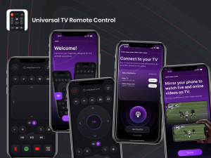 Universal TV Remote Control