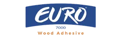 Euro Logo